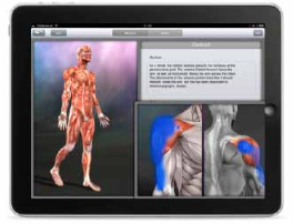 Piezo-Wave-2_Hill-DT-Solutions-ipad-1.png