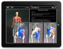 Piezo-Wave-2_Hill-DT-Solutions-ipad-3.png